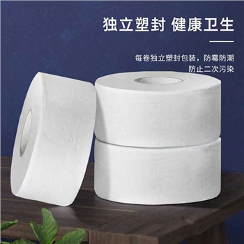 尚品家园原生木浆大盘纸