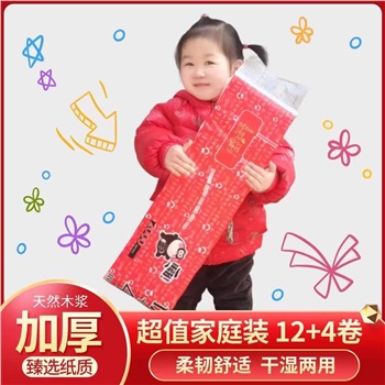 XFW20XN木浆无芯卷纸